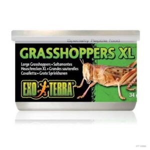 Exo Terra Canned Grasshoppers