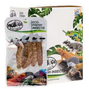 Pro Bugs Eco-Fresh Silkworms